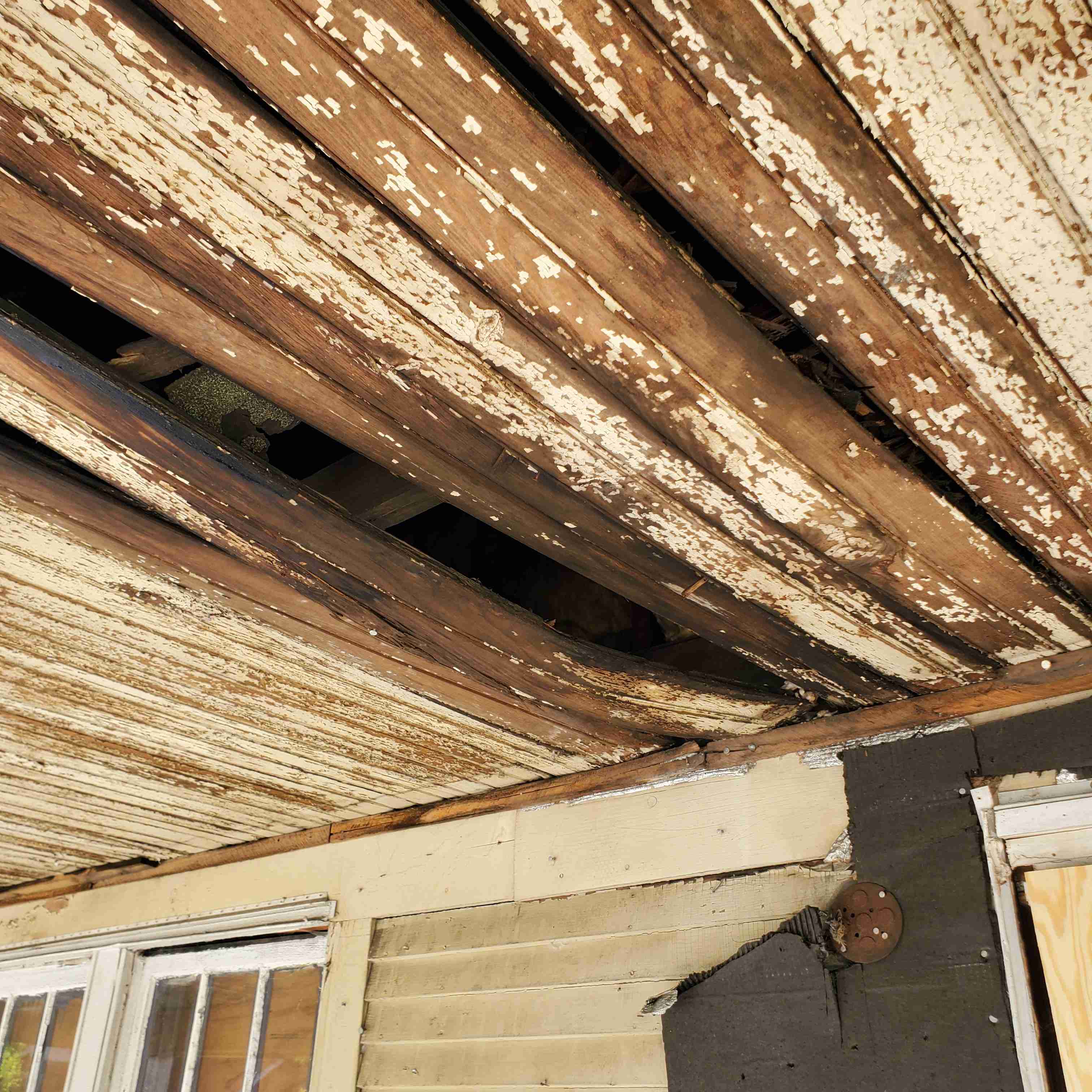 20200812_154054 (2).jpg